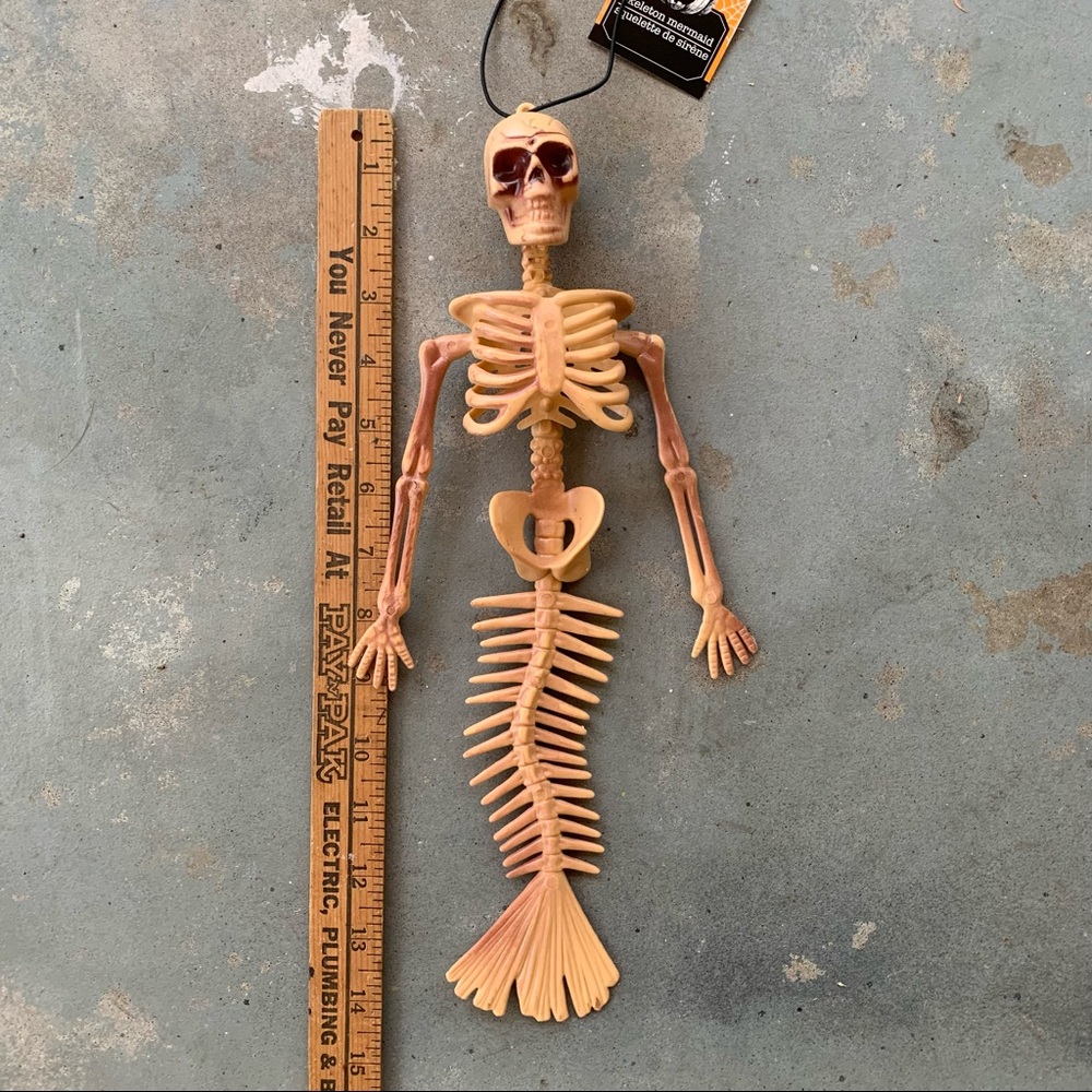 Mermaid Skeleton 💀 - Picture 2 of 3